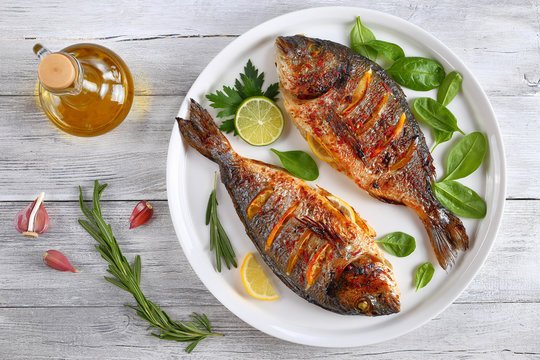 Grilled Fish